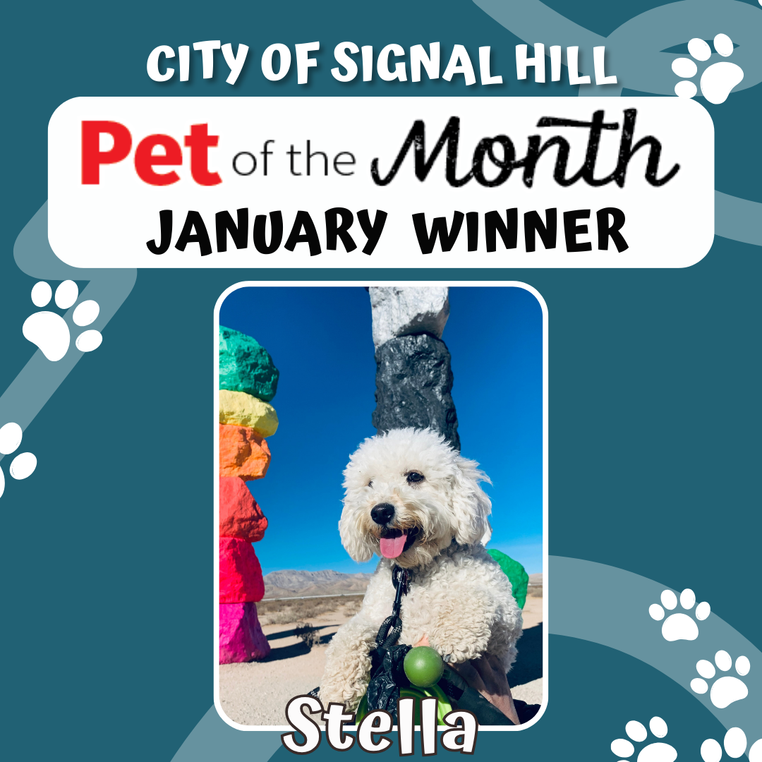 January Pet of the Month