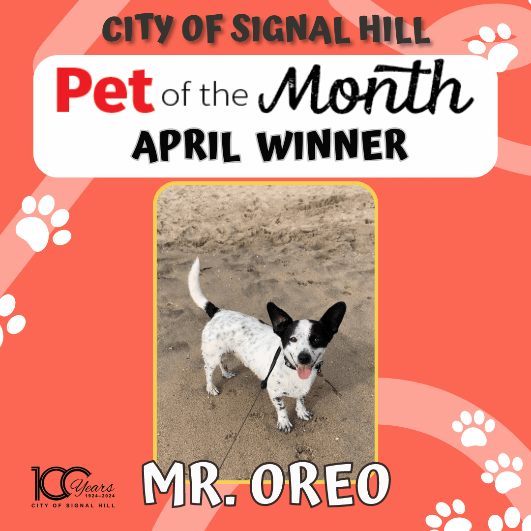 Pet of the Month - April
