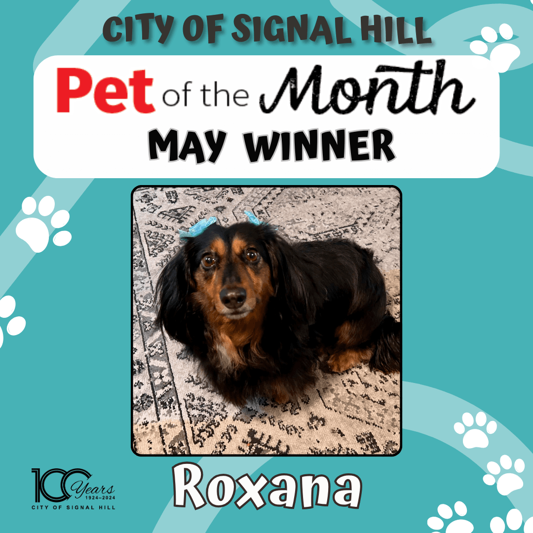 Pet of the Month - May