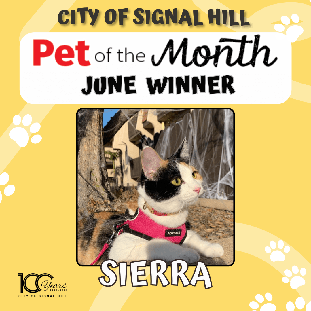 Pet of the Month - June