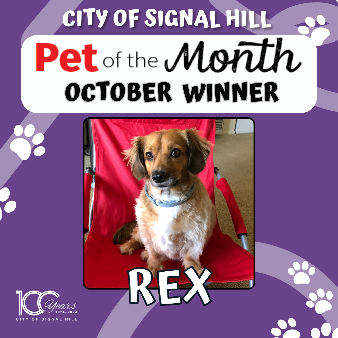 Pet of the Month - October