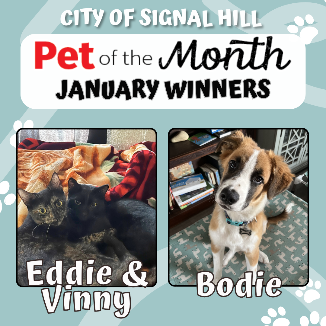 Pet of the Month - Jan 2025