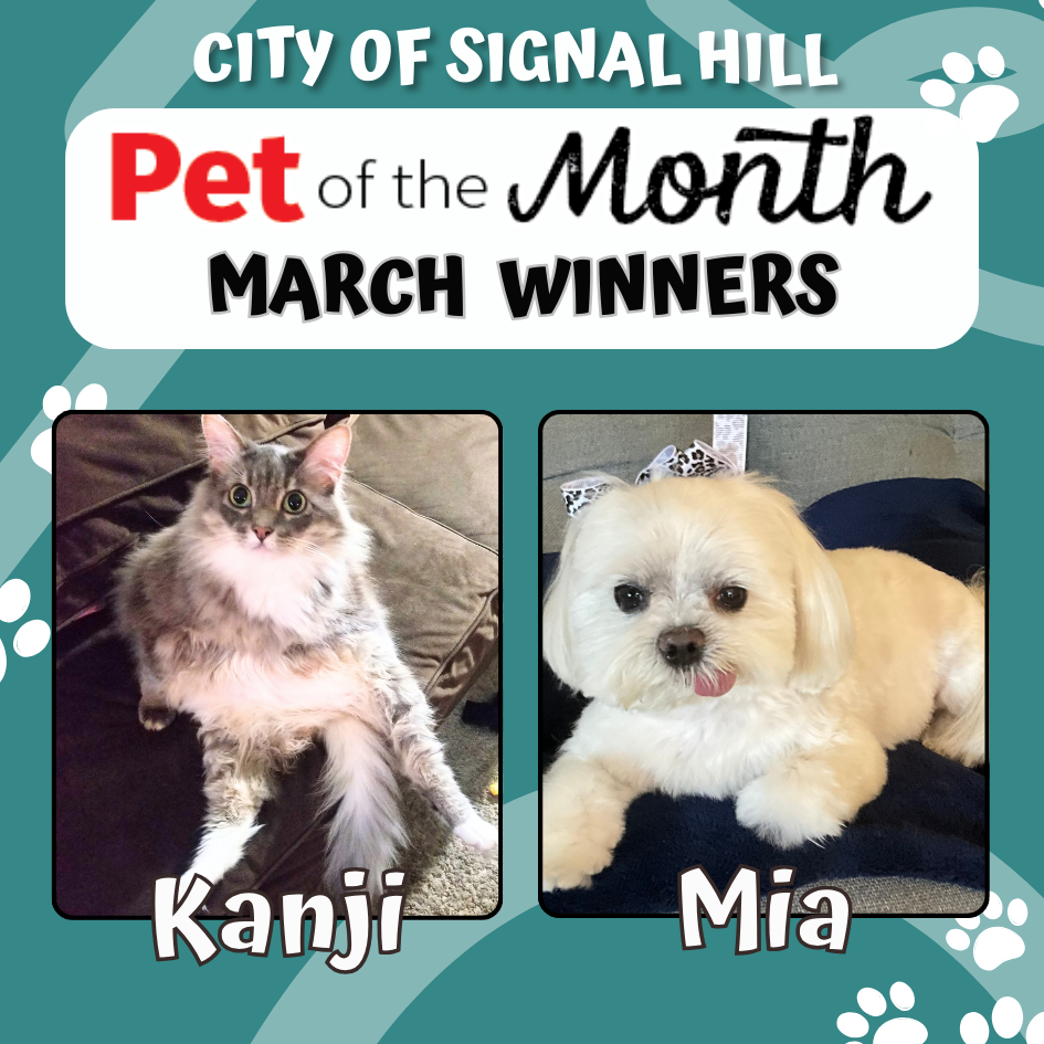 Pet of the Month - March '25