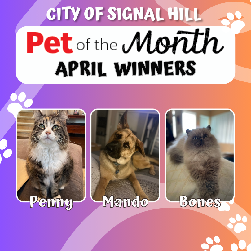 Pet of the Month - April 2025
