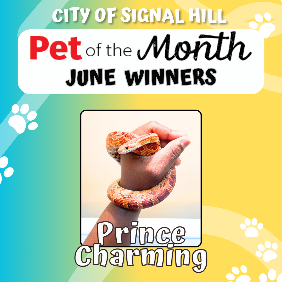 Pet of the Month - June 2025