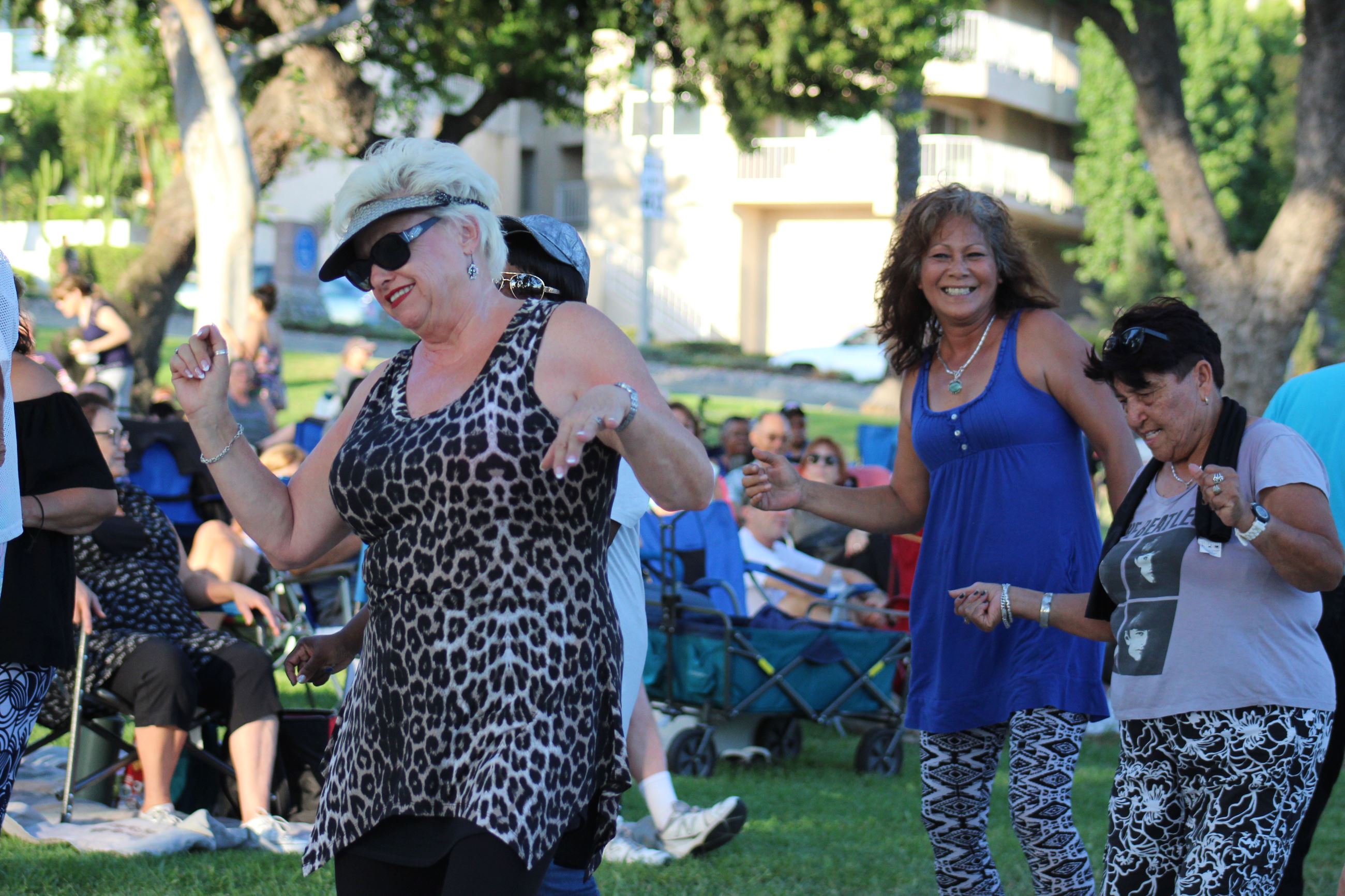 Concerts in the Park August 1