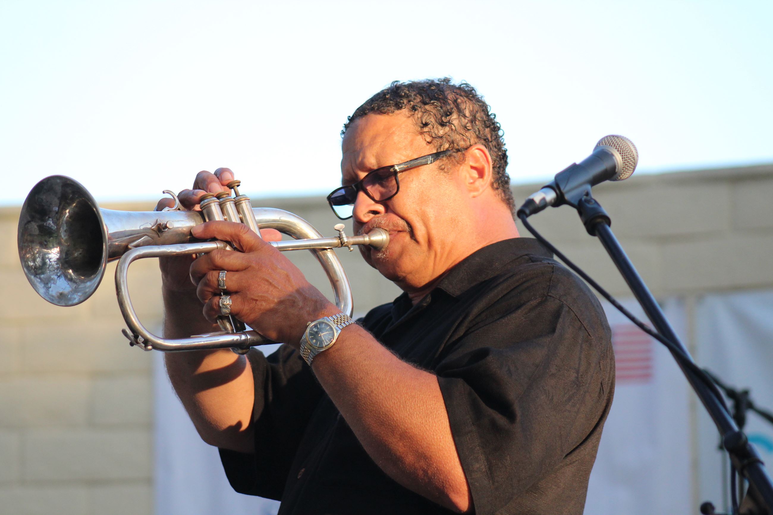 Concerts in the Park August 15