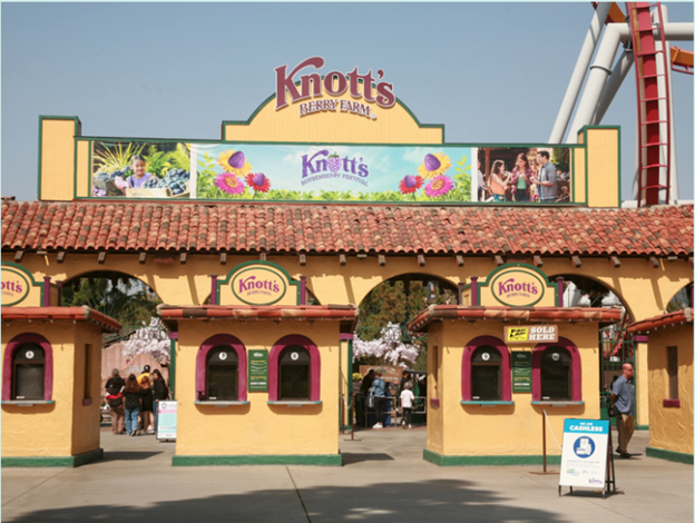 Boysenberry Festival