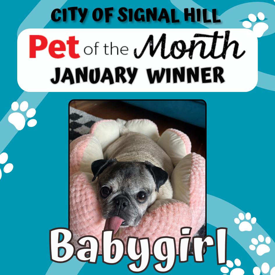 Pet of the Month - Jan 2026